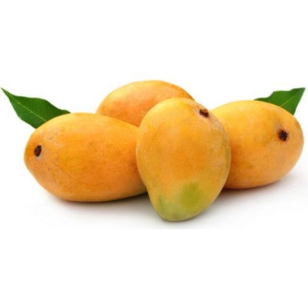 Alphonso