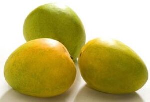 Rajgira