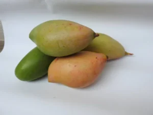 Thothapuri