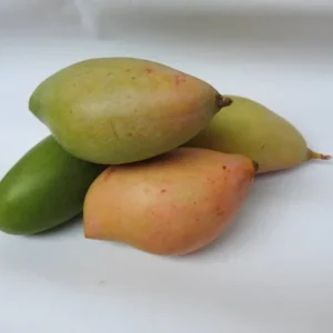 Thothapuri